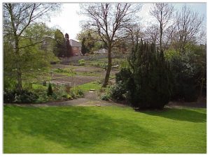 Allotments in Penkridge